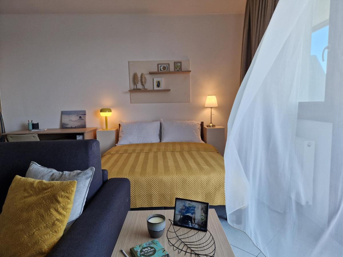 Central Skystudio Apartment Timisoara Exterior photo