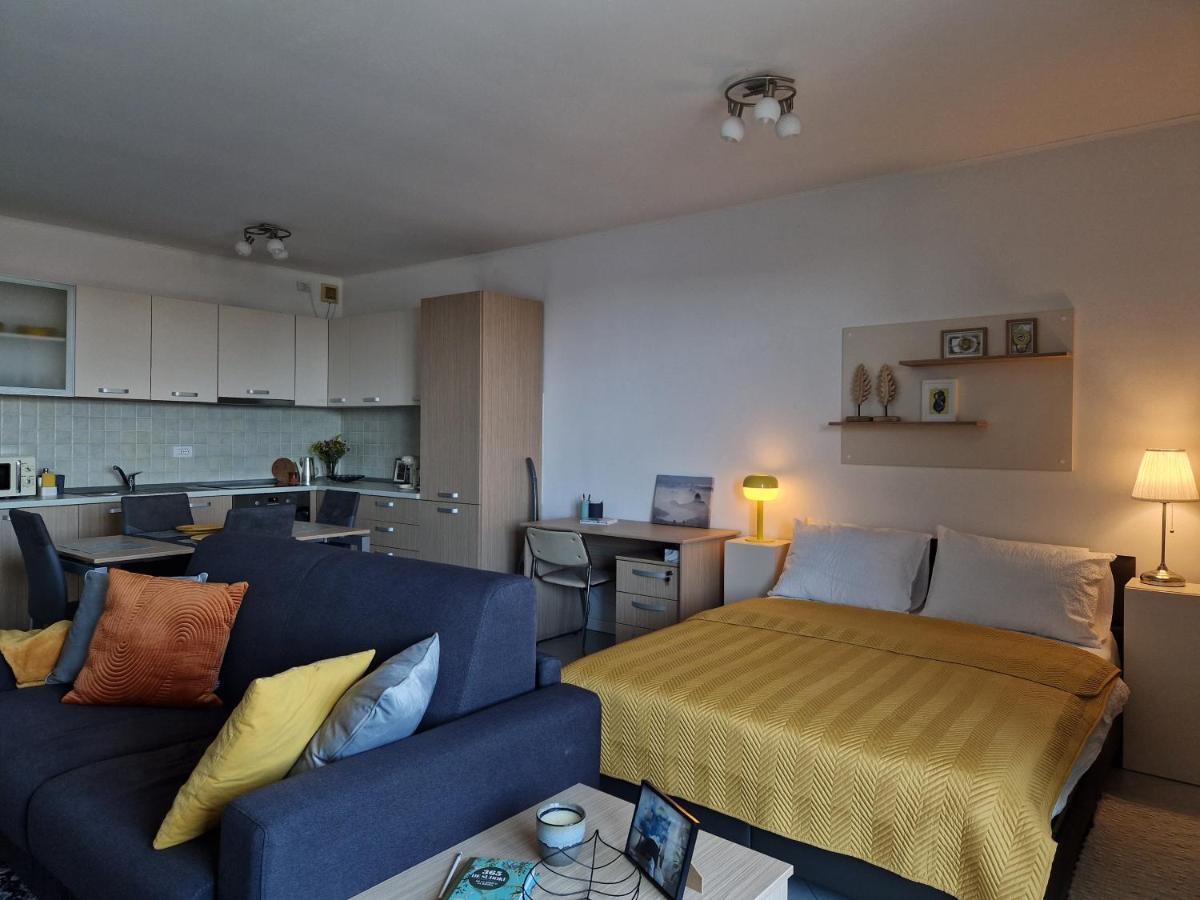 Central Skystudio Apartment Timisoara Exterior photo