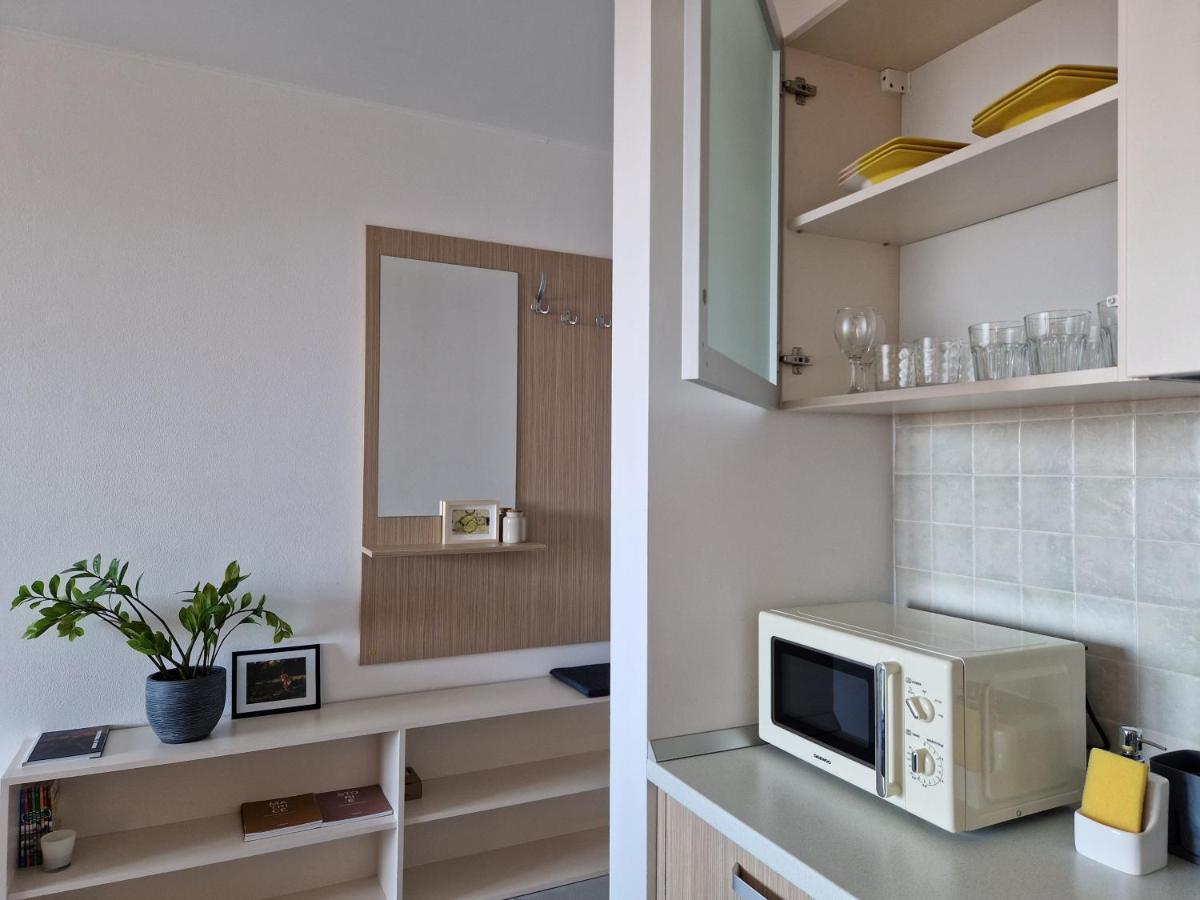 Central Skystudio Apartment Timisoara Exterior photo