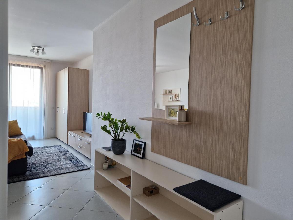 Central Skystudio Apartment Timisoara Exterior photo