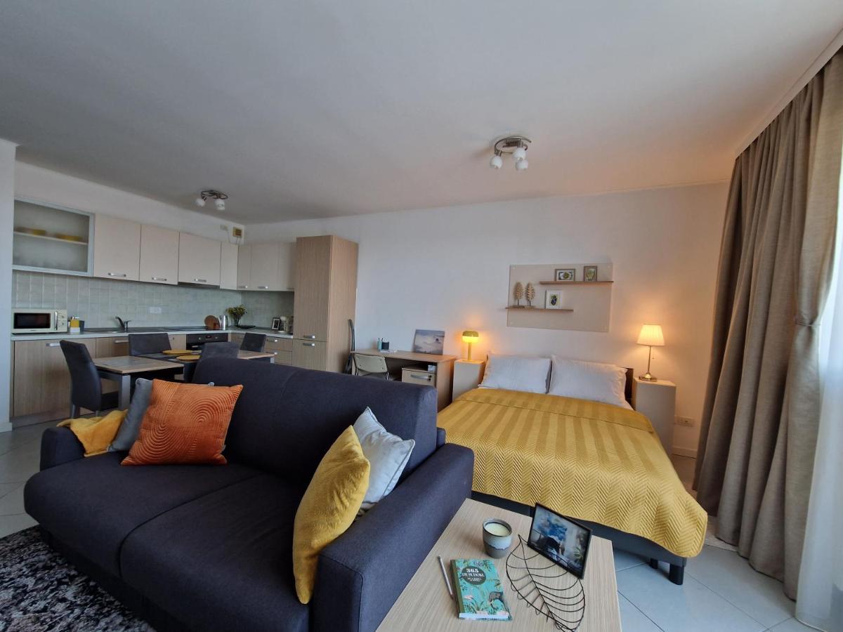 Central Skystudio Apartment Timisoara Exterior photo