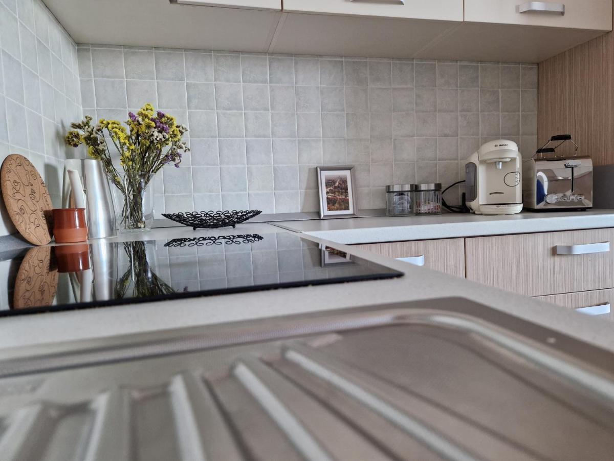Central Skystudio Apartment Timisoara Exterior photo
