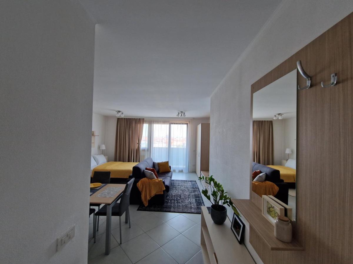 Central Skystudio Apartment Timisoara Exterior photo